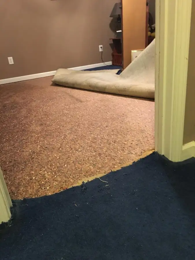 Carpet pad removal revealing water damage during Drying & Dehumidification in Maywood