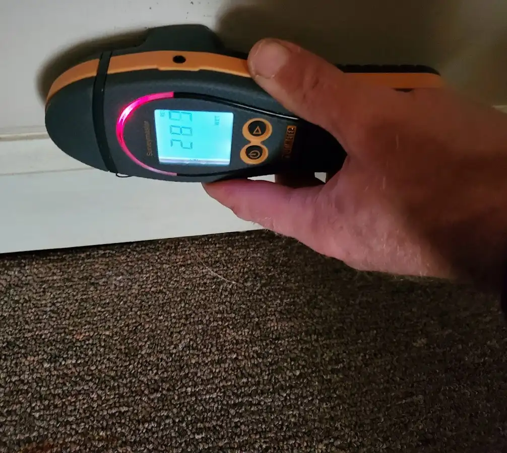 Moisture detection at baseboard during Sewage Cleanup & Sanitation in Maywood
